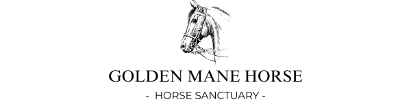 Golden Mane Horse Home 